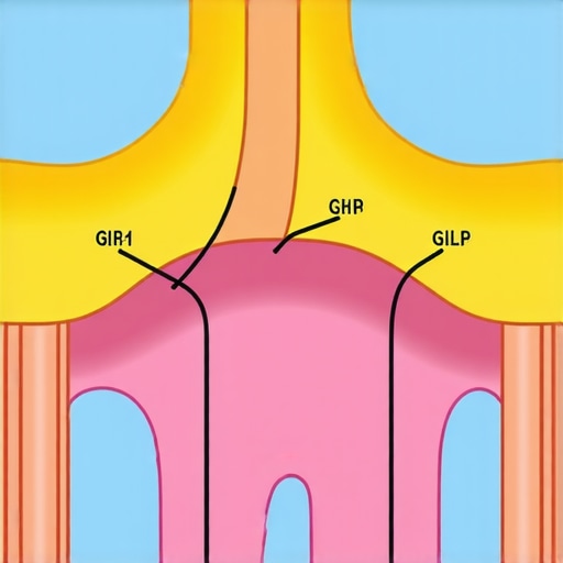 Diagram showing how GLP-1 receptor activation influences brain centers to suppress appetite.