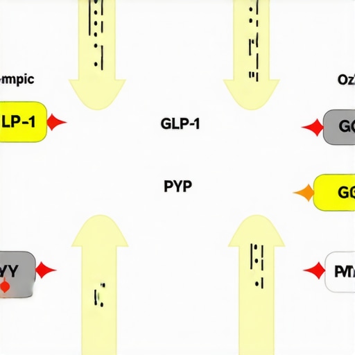 Hormonal pathways affected by Ozempic for weight loss