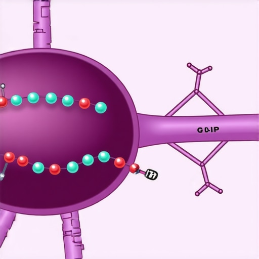 Detailed scientific illustration showing how GLP-1 receptor agonists influence appetite and metabolism